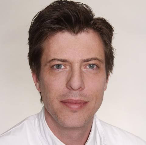 Portrait Prof. Timo Grimmer